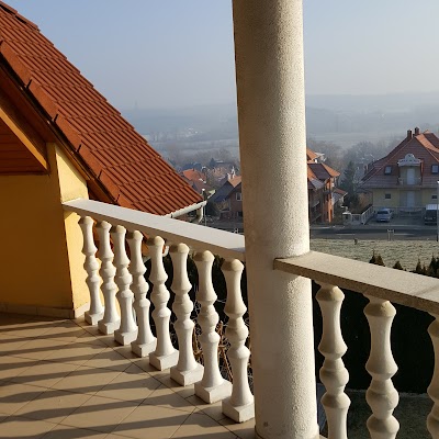 Photos of Mad&aacute;r Vend&eacute;gh&aacute;z