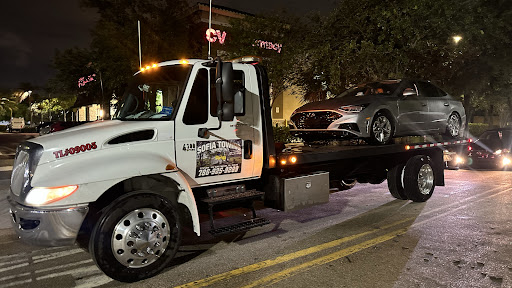 Sofia Towing Corp - Visual