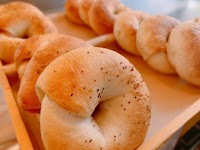 ぱんとねことごはん