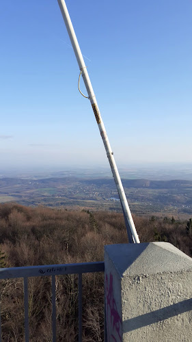 Opinii despre Rezerwat przyrody Góra Ślęża în Sobótka - Parking