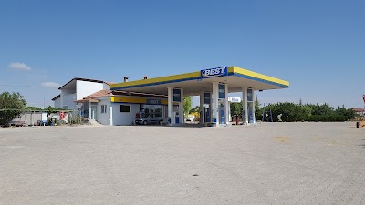 Best Oil-kozaklı Petrol