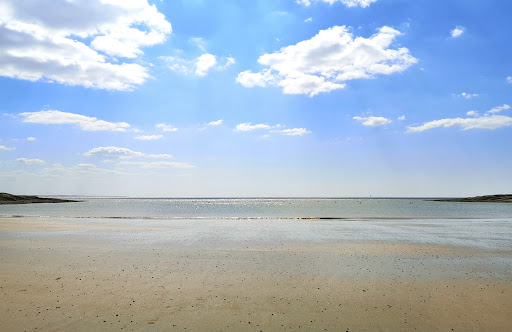 Maud POIDEVIN Iad France Châtelaillon Plage et alentour - Thumbnail