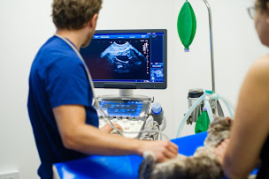 Photo n°41 de Clinique vétérinaire VetRiviera à Nice (Pharmacie vétérinaire)