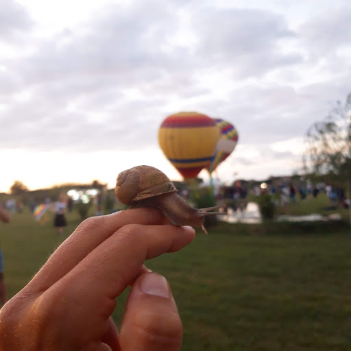 ELYnatura cosmesi alla bava di lumaca - Thumbnail
