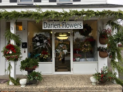 Darien Flowers