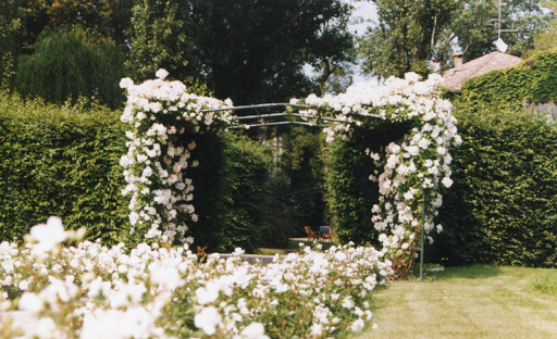 Garden Line - Visual