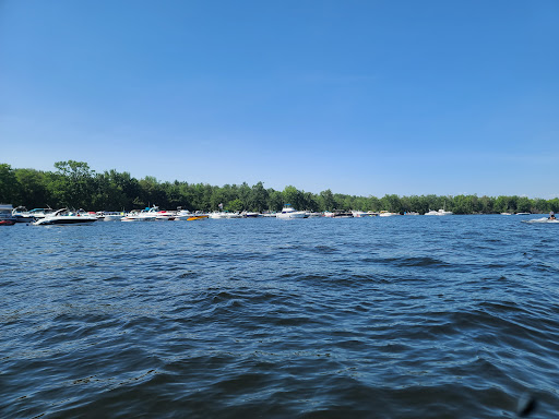 Three Mile Bay Wildlife Management Area