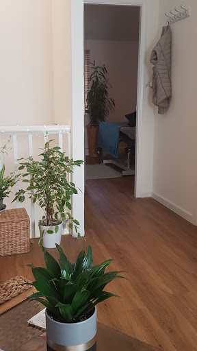 DC Therapies -massage & Acupuncture Gallery - United Kingdom