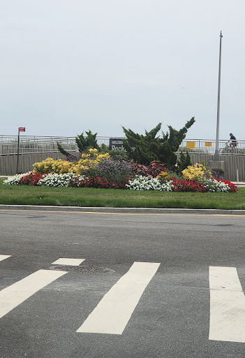 Rockaway Beach Blvd/Beach 141 St - Thumbnail