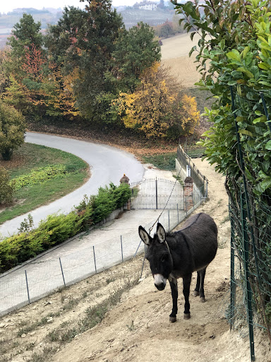 Cascina La Romana - Thumbnail