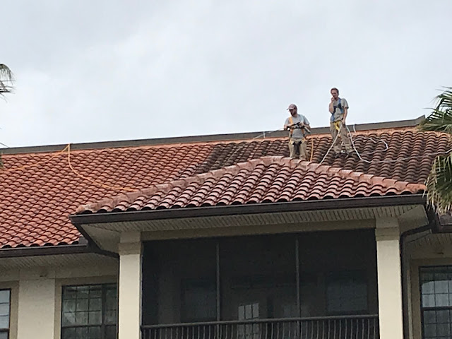 Window Gang - Jacksonville, FL