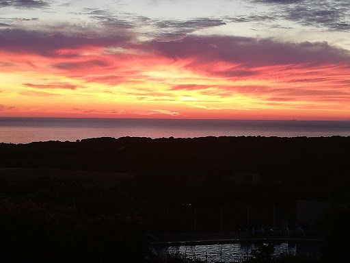 Photo de Résidences de Salduccio à Lumio (20260)