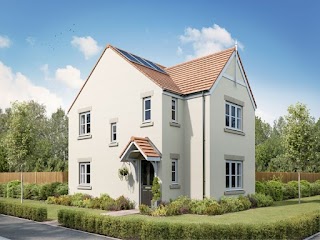 Persimmon Homes Birchwood Manor