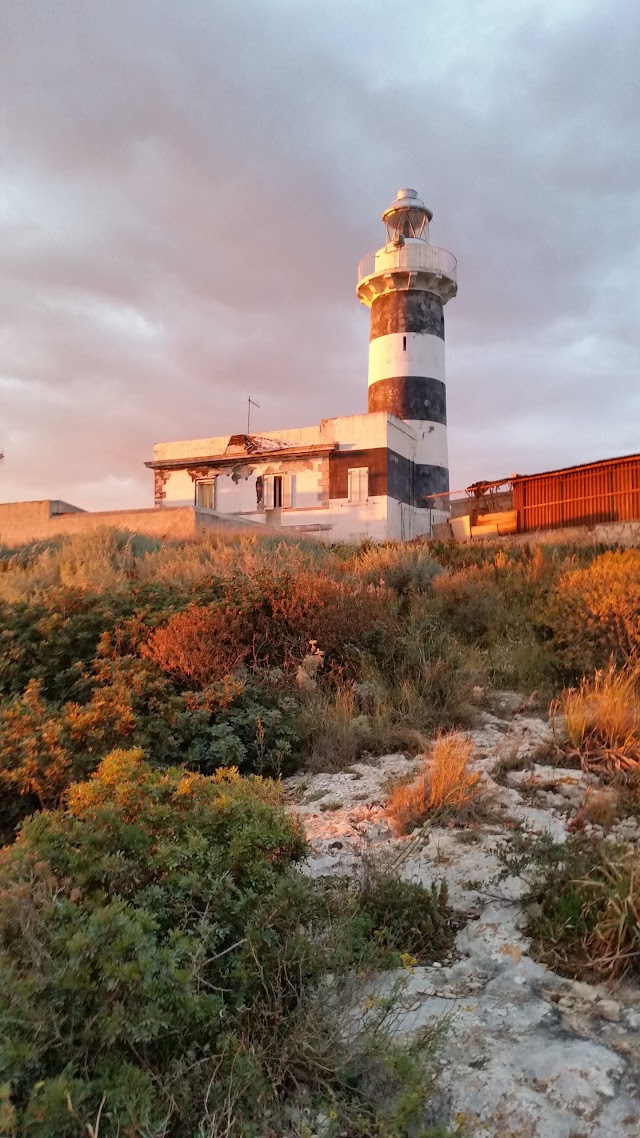 Calamosca Beach