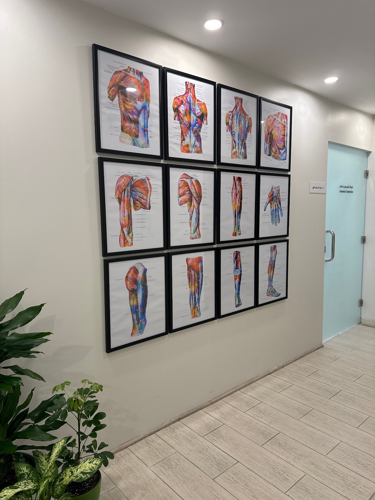 موفمنتو مركز استعادة الحركة للعلاج الطبيعي - صورة 2