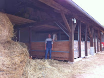 Location Gîte et ferme équestre. à Rehaincourt