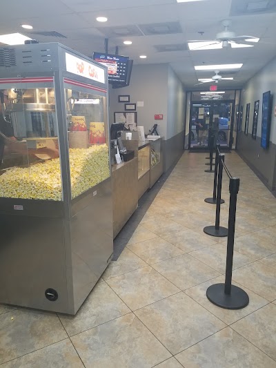 Photos of Marco Movies
