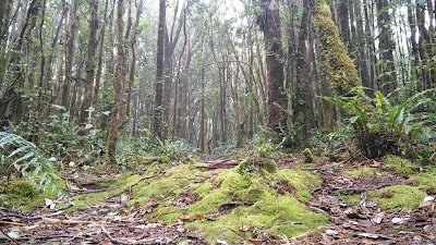 Photos of Los Quetzales - Entrada Principal National Park