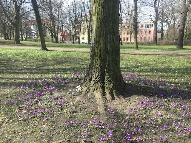 Weißenseer Park