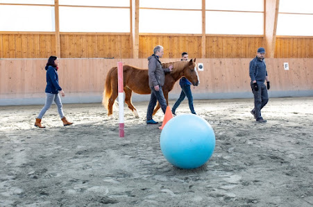 P&P Ranch Coaching I Teamevents I Westernreiten Brunnenweg 71, 89231 Neu-Ulm