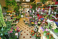 Au Printemps Fleuri | Fleuriste Pontoise à Pontoise