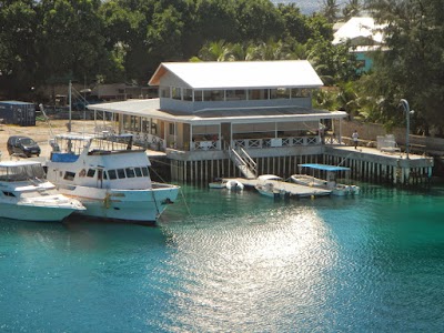 Photos of Shoreline Dock