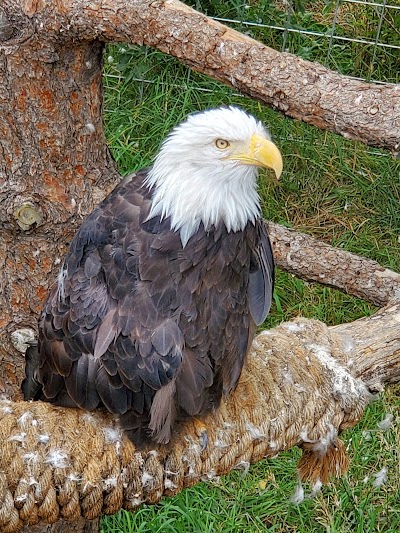 Cheyenne Mountain Zoo