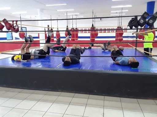 Ibarra Boxing Promotions #2 - Thumbnail