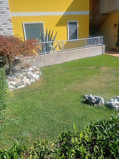 greenservice - Visual
