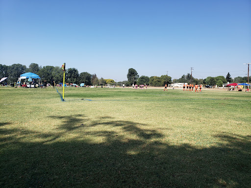Foundation Field 1 - Thumbnail