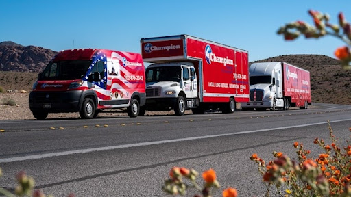 Champion Movers - Visual
