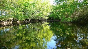 Photo n°5 de L'Écurie du Grand Chêne à Saint-Philbert-de-Bouaine (Écurie)