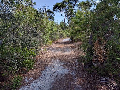 Blazing Star Preserve - Thumbnail