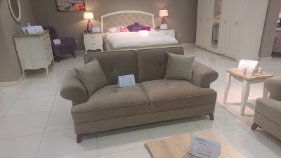 Photos of dogtas exclusive