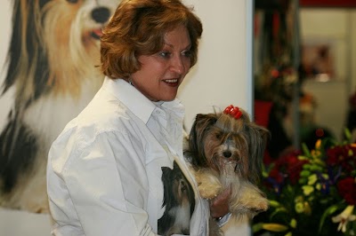 Photos of Irmadu Yorkies and Biewers