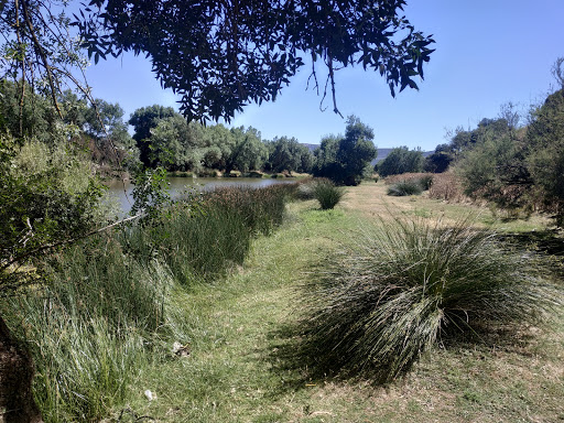 Meandro Río Guadiana - Thumbnail