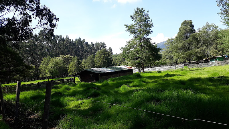 Centro Juvenil Campesino Felix Gloor
