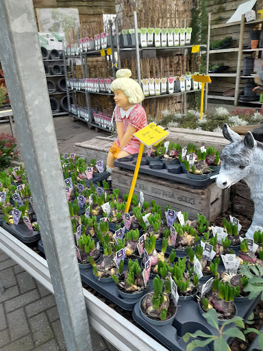 Gartencenter - Visual