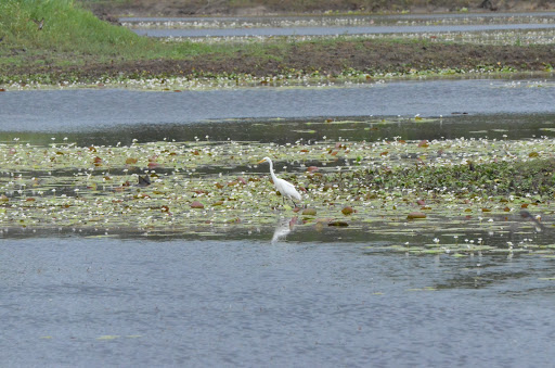 Jabiru Park - Thumbnail