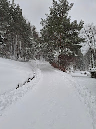 Photo n°20 de GITE LES NORDIQUES DE LA WELCHE à Orbey (Gîte)