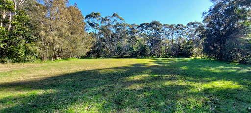 Willoughby Rd after Garland Rd Gallery - Australia