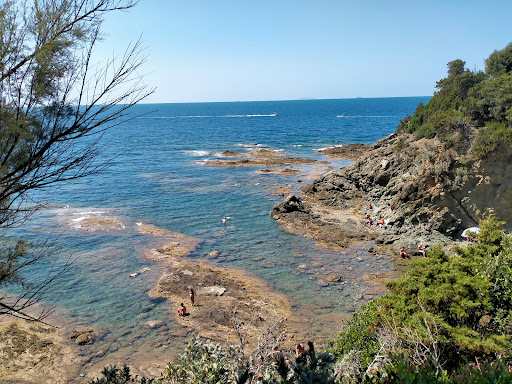 Torre Medicea di Castiglioncello - Thumbnail
