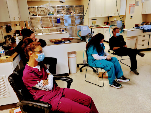 Bellevue Value Pet Clinic