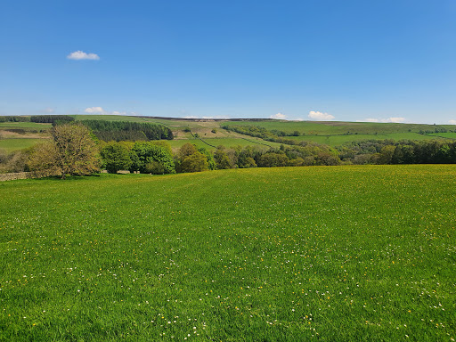 Demesne Mill Picnic Area Gallery - United Kingdom