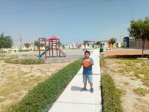 Caseta Los portales Techo Propio 9