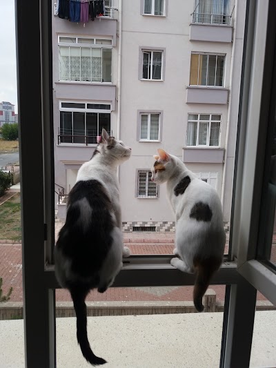 Photos of Akan İnşaat