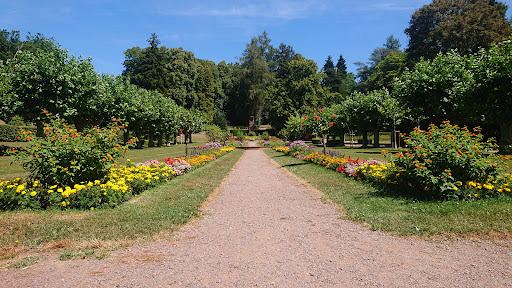 Springbrunnen im Stadtgarten - Thumbnail