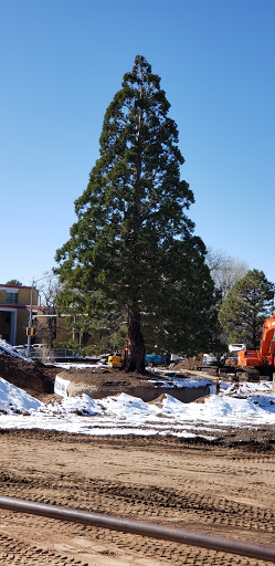 Montezuma Lodge Lot - Thumbnail