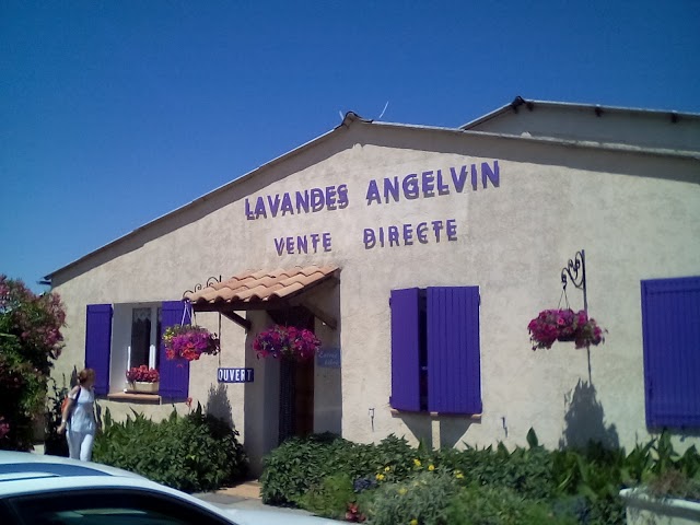 Lavandes Angelvin