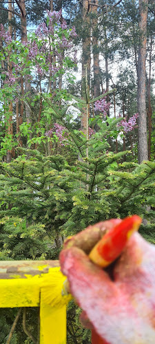 Camping Susiec Długosz | Kamper Roztocze - Pole kempingowe